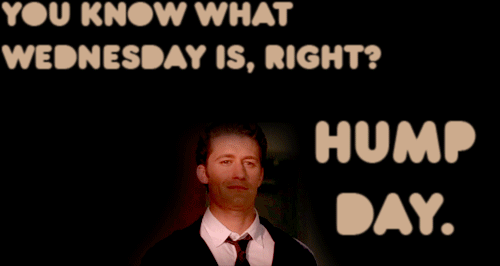 Image result for hump day gif
