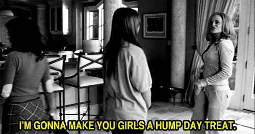 Image result for hump day gif