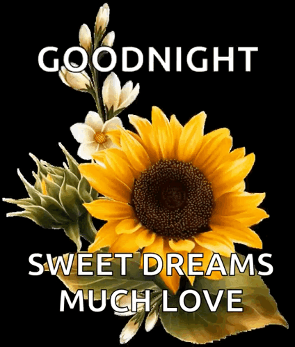Gif coup de coeur  - Page 20 Good-night-sweet-dreams