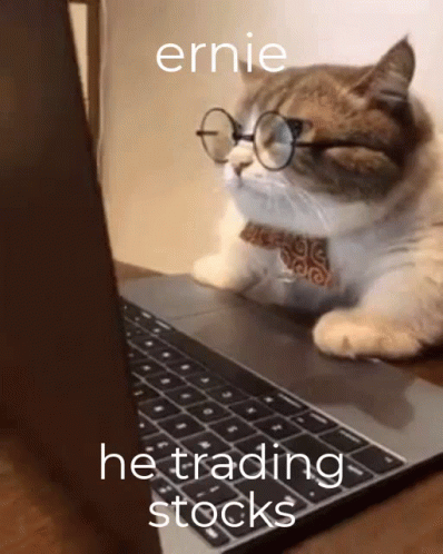 ernie, stonks, stocks, trading
