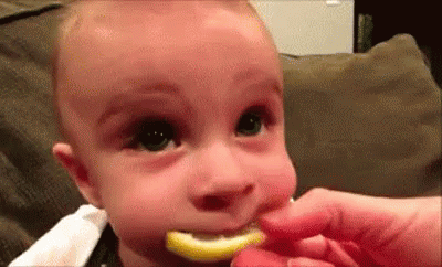 Lmao Baby GIF - Lmao Baby Lemon - Discover & Share GIFs