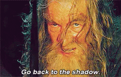 Image result for gandalf go back to the shadows gif