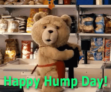 Image result for funny hump day gif