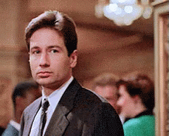 Man: what the hell is that..?
Scully: it's a North American P-51 Mustag
Man: ...
Mulder: ...i just got very turned on
THE SEXUAL TENSION IS BACK!