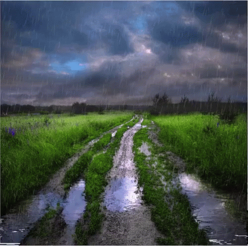 Rainy Landscape GIF - Rainy Rain Landscape - Discover & Share GIFs