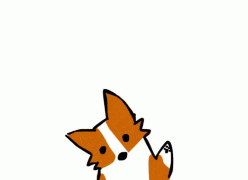 Resultado de imagen de corgi gif