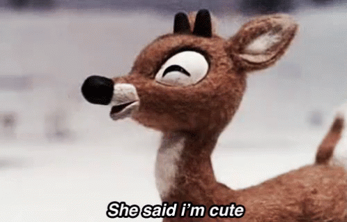 Popular She Said Im Cute GIF - Rudolph Cute - Discover Popular She Said Im Cute GIF - Rudolph Cute - Discover