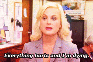 Image result for parks and recreation everything hurts and i'm dying