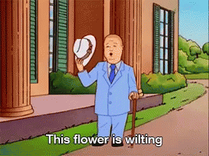 tenor.gif