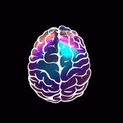  Brain  GIF  Brain  Mind Discover Share GIFs 