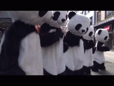 Panda Mafia GIF - Pandas PandaMafia Dance - Discover & Share GIFs