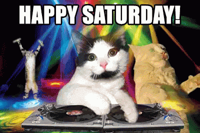 Happy Saturday GIF - Saturday Cats Dance - Discover & Share GIFs