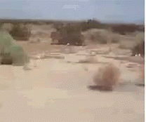 raw
