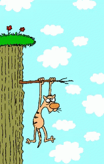 Clip Art Hang In There Clipart hang in there kitty gif hangintherekitty gif