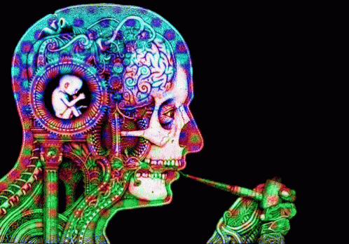 Brain development age 25 image 1