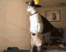 tenor.gif