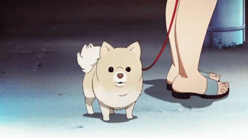 Anime Dog GIF - Anime Dog Pomeranian - Discover & Share GIFs