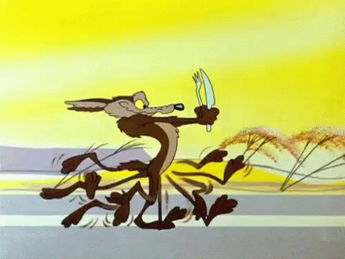 Wile Coyote GIF - Wile Coyote Looney - Discover & Share GIFs