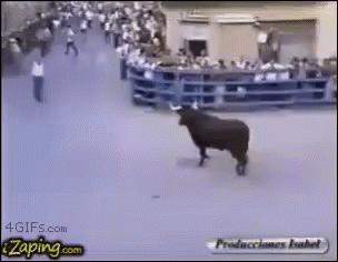 tenor.gif