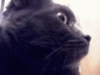 Pobre Levi, mal sabe as verdadeiras intenções da rainha Catarina.
