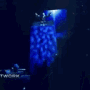https://media.tenor.co/images/5f3d2391fbf43c142f66615c5fdc0582/tenor.gif