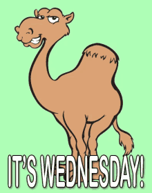Wink Wednesday Happy Camel GIF - Wednesday Camel HumpDay - Discover ...
