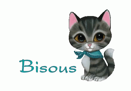 Bisous Cat GIF - Bisous Cat - Discover & Share GIFs