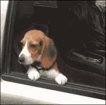 Bye Dont GIF - Bye Dont Leave - Discover & Share GIFs