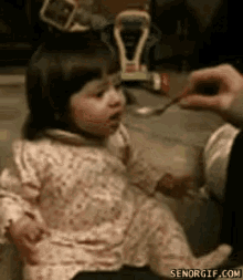 https://media.tenor.co/images/819a124460f72f7598377c29ef16aa7d/tenor.gif