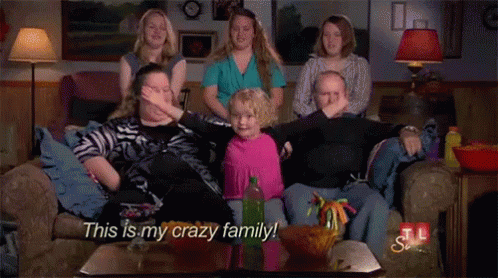 Résultats de recherche d'images pour « family crazy gif »