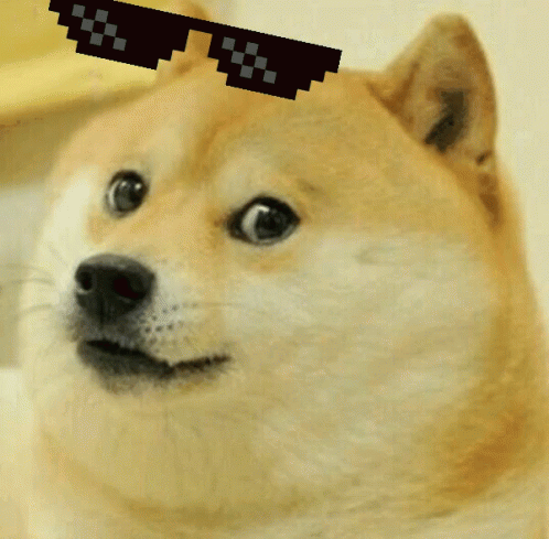 Doge Deal With It GIF - Doge DealWithIt TooBad - Discover & Share GIFs