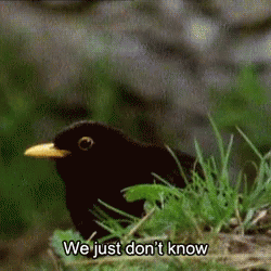 We Just GIF - We Just Dont - Discover & Share GIFs