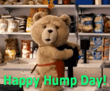 Image result for hump day gif