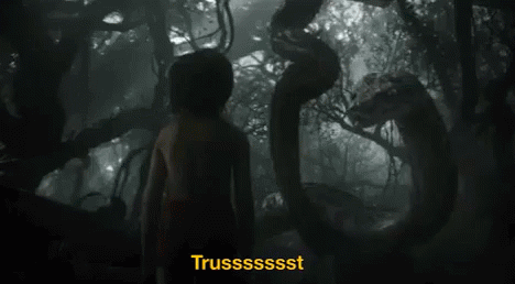 Jungle GIF - Jungle - Discover & Share GIFs