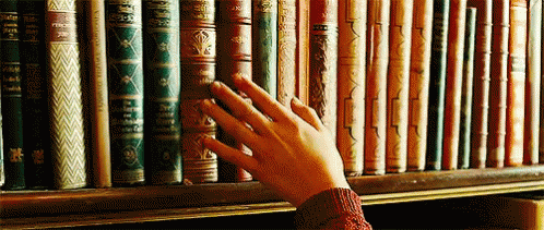 The library guards the guardian who guards the librarians. Sounds poetic.