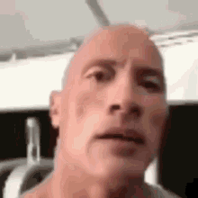 tenor.gif