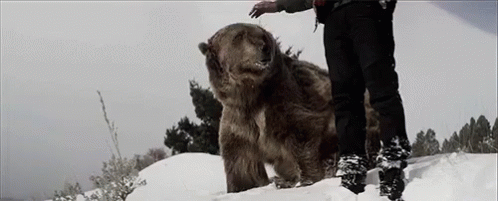 Booba GIF - booba b2oba b2o GIFs