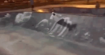 tenor.gif