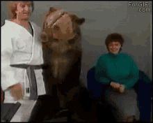 tenor.gif