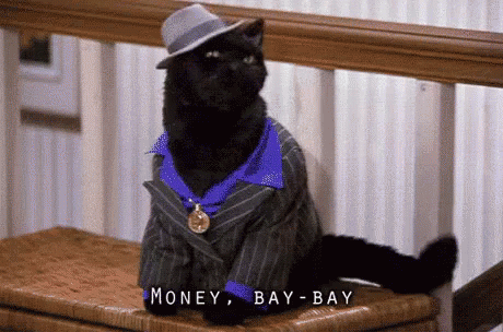 Resultado de imagen de MONEY CATS GIF