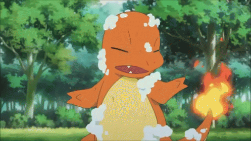Squirtle Bites Charmander GIF - Charmander Squirtle Pokemon - Discover