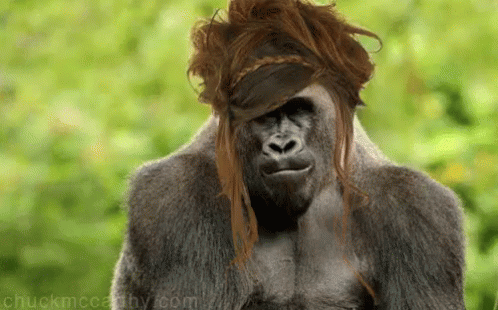 Hairstyle GIF - Gorilla Hairstyle Haircut - Discover ...