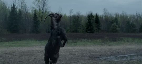 https://tenor.com/view/the-witch-goat-fight-readytofight-bea