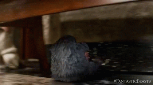 niffler