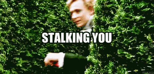 The popular Stalking Stalker GIFs everyone's sharing