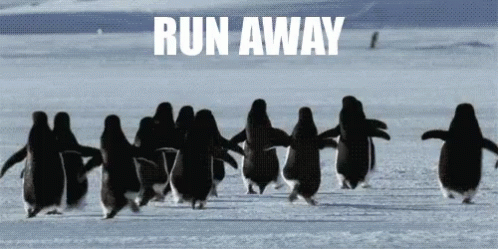Image result for running away gif