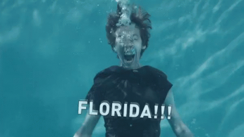 Florida!!! GIF - Florida Mad Angry - Discover & Share GIFs