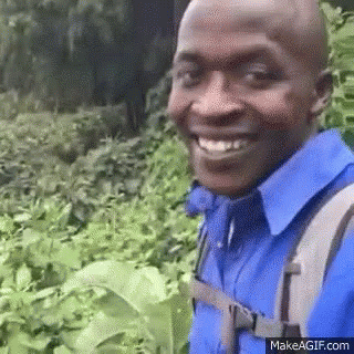 Ok okay gif ok okay gifs say more with tenor