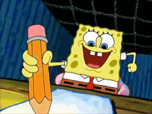 Spongebob essay