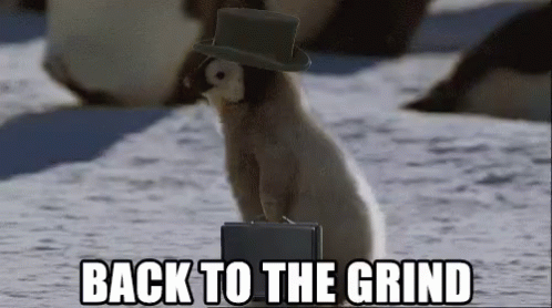 Back To The Grind GIF - Penguin Grind GIFs